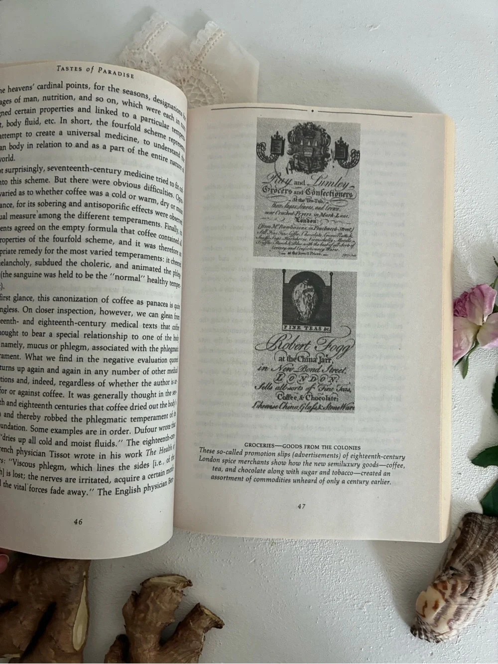 Tastes of Paradise Paperback Book - Wolfgang Schivelbusch